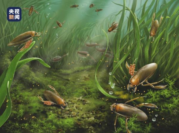 南京地质古生物研究所最新发现 南京地质古生物研究所最新发现