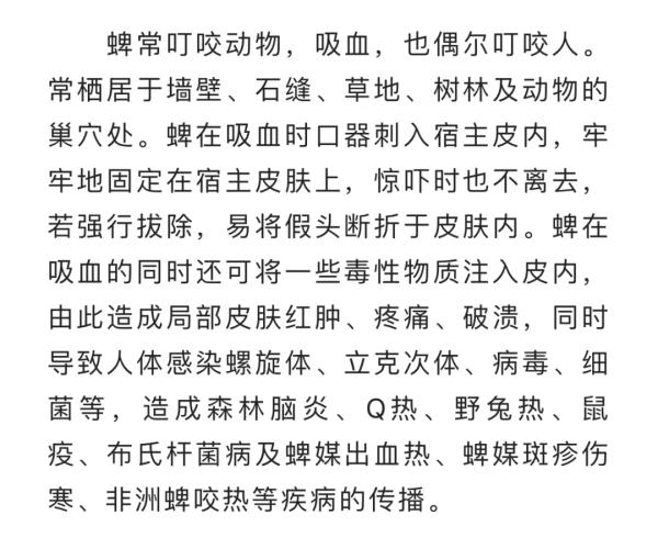 重要提醒！西安市民周末露营后，孩子头上的“黑痣”突然长大了，一查竟是……