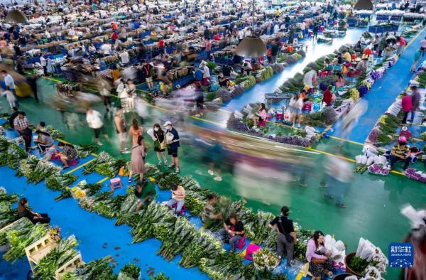 昆明斗南花市繁荣“夜经济”