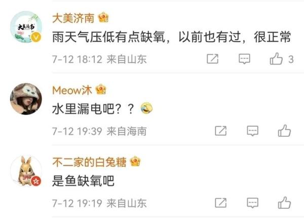 高温缺氧？受到惊吓？大明湖群鱼“跳水”为哪般