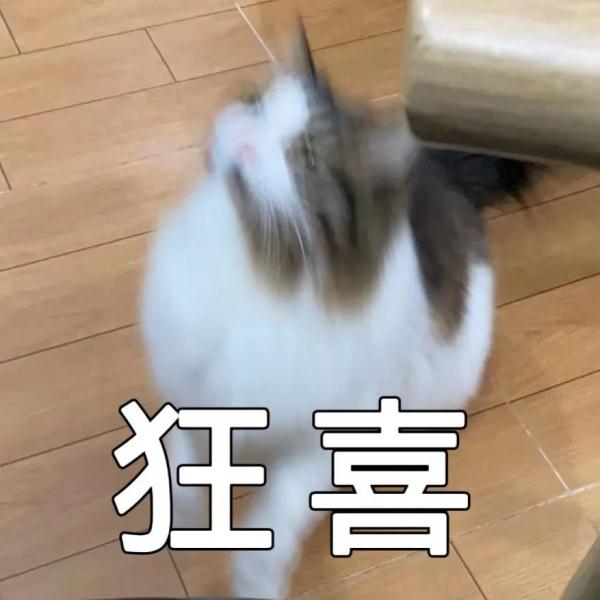 “热死人”不是开玩笑！多地已有致死病例，至于深圳高温要持续到......