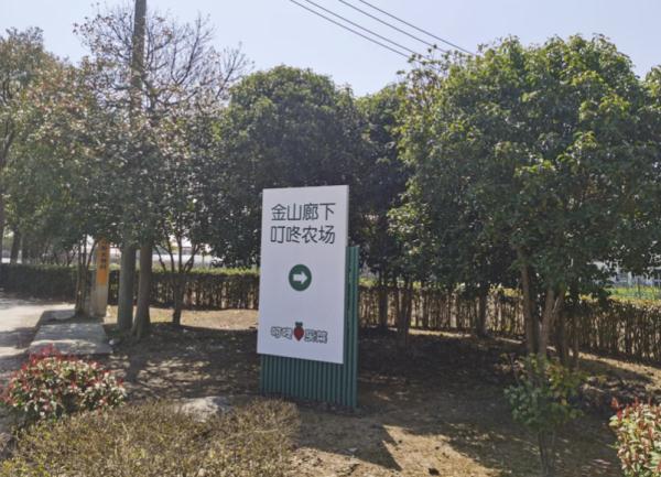高温天线上买菜运力紧张？上海生鲜电商：货量充足，建议市民避开预定高峰