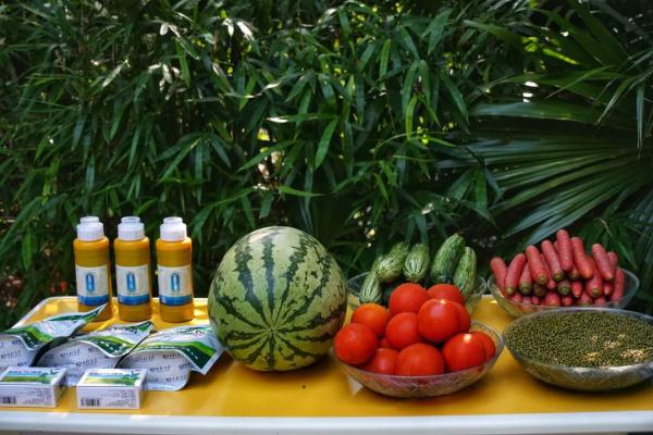 冰镇水果、喷淋洗澡、玩冰砖……重庆动物园的动物们这样过夏天 冰镇水果、喷淋洗澡、玩冰砖……重庆动物园的动物们这样过夏天