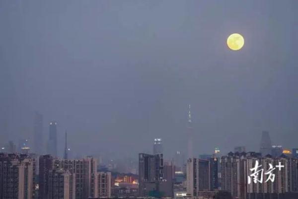 昨晚“超级月亮”惊艳刷屏！没看够，再来回味一遍→