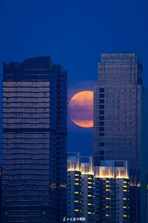 “超级月亮”有多亮，美图来了！