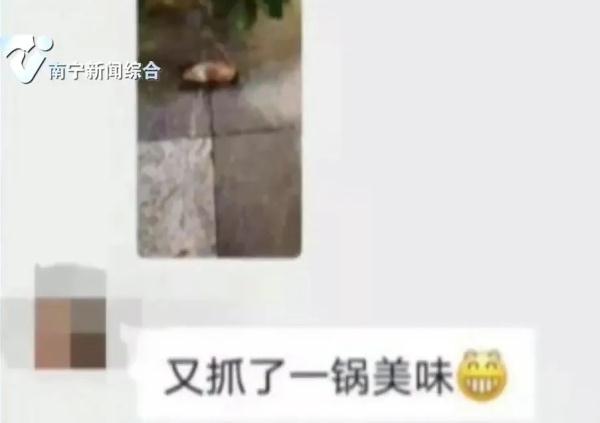 雨后这种蜗牛成群出没，别碰！别吃！