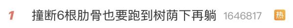 浙江男子神操作火了！车祸撞断6根肋骨，也要忍痛跑到树荫下......网友：好笑又心疼