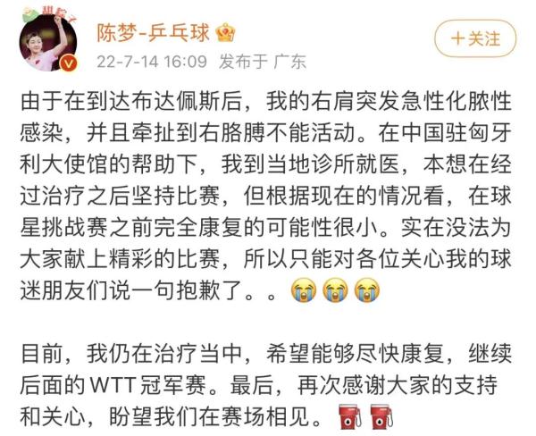 排名世界第一，她突然道歉：因病退赛