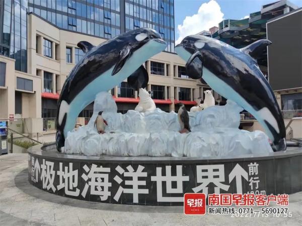 看着都疼！海洋馆内一海豚突然将驯养员抛至高空……