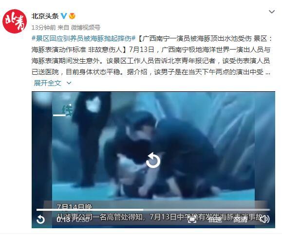 广西南宁一演员被海豚顶出水池受伤 景区：海豚表演动作标准 非故意伤人