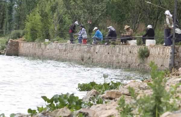 昆明将开放部分水域作为垂钓区,每人每天不超3公斤 昆明将开放部分水域作为垂钓区,每人每天不超3公斤