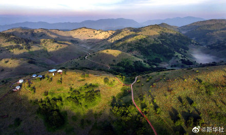 无人机视角看夏日草原