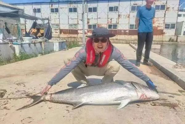 罕见！大连海域钓上来81斤重“大家伙”