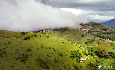 无人机视角看夏日草原
