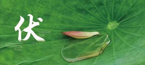 今日入伏，“数”说安徽这段最热的日子