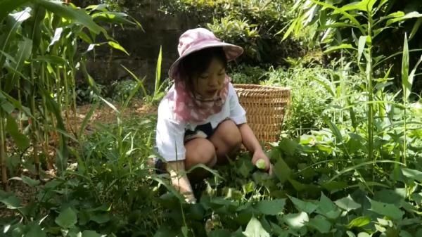 贵州励志女孩毕业了!拖回满满一箱惊喜,父母:很欣慰 贵州励志女孩毕业了!拖回满满一箱惊喜,父母:很欣慰