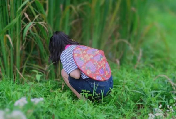 今日入伏，“数”说安徽这段最热的日子