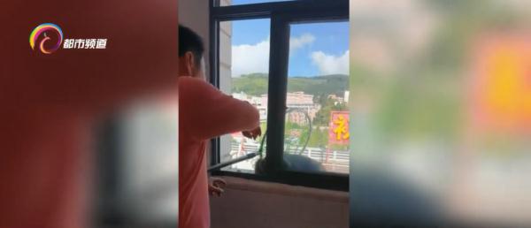 玩印泥、翻文件、爬书柜！“猴哥”大闹办公室，落网了……