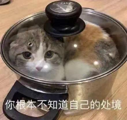 学生从公交站台突然蹿出，一头撞上电动车！应对危险盲区，牢记这样做