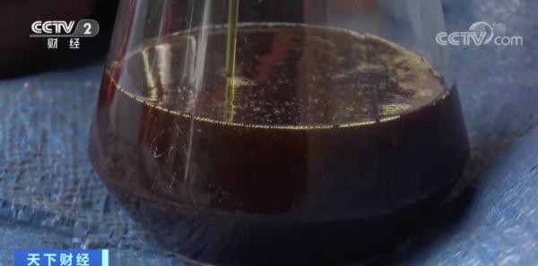 用油不够？这里用牛油果榨油…