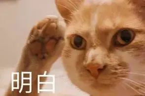 学生从公交站台突然蹿出，一头撞上电动车！应对危险盲区，牢记这样做