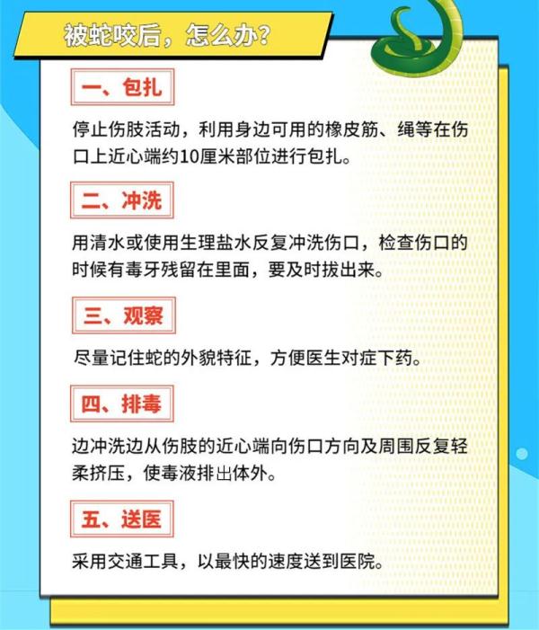 吓人!上厕所时马桶内钻出一条大蛇! 吓人!上厕所时马桶内钻出一条大蛇!