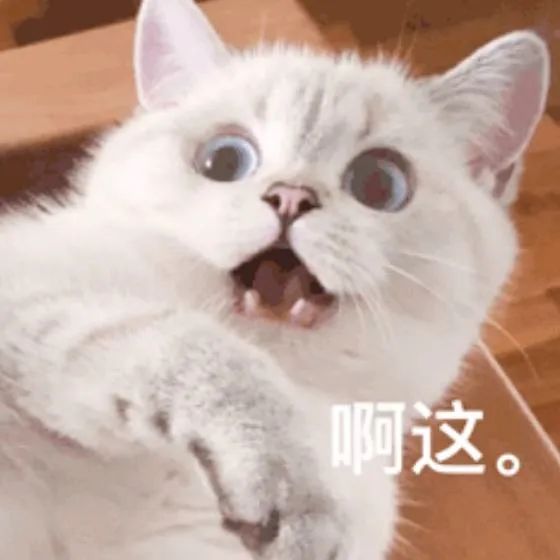 夫妻高铁乘车迟到竟强行冲闸，结果……