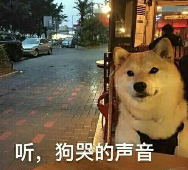 热点 | 情侣为何分手?物理学家的解答,太励志了…… 热点 | 情侣为何分手?物理学家的解答,太励志了……