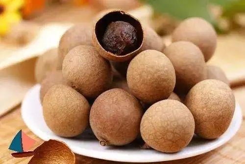 须须头、梗子、嫩头……上海话中的这些植物“器官”,你知道几个? 须须头、梗子、嫩头……上海话中的这些植物“器官”,你知道几个?