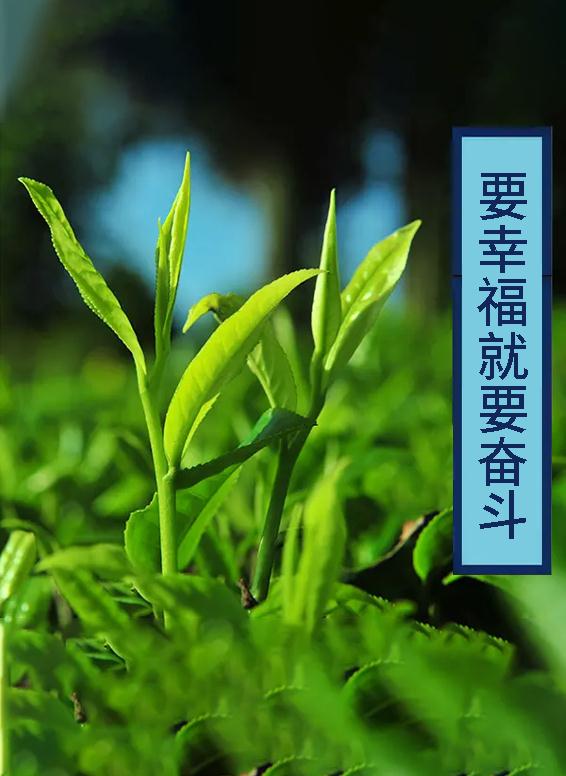 须须头、梗子、嫩头……上海话中的这些植物“器官”,你知道几个? 须须头、梗子、嫩头……上海话中的这些植物“器官”,你知道几个?