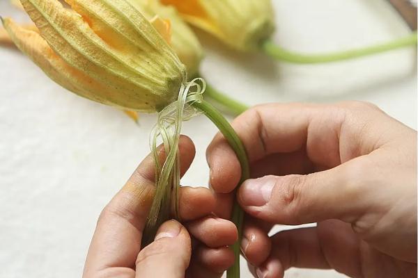 须须头、梗子、嫩头……上海话中的这些植物“器官”,你知道几个? 须须头、梗子、嫩头……上海话中的这些植物“器官”,你知道几个?