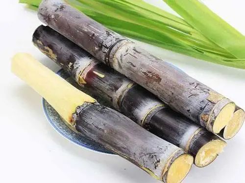 须须头、梗子、嫩头……上海话中的这些植物“器官”,你知道几个? 须须头、梗子、嫩头……上海话中的这些植物“器官”,你知道几个?