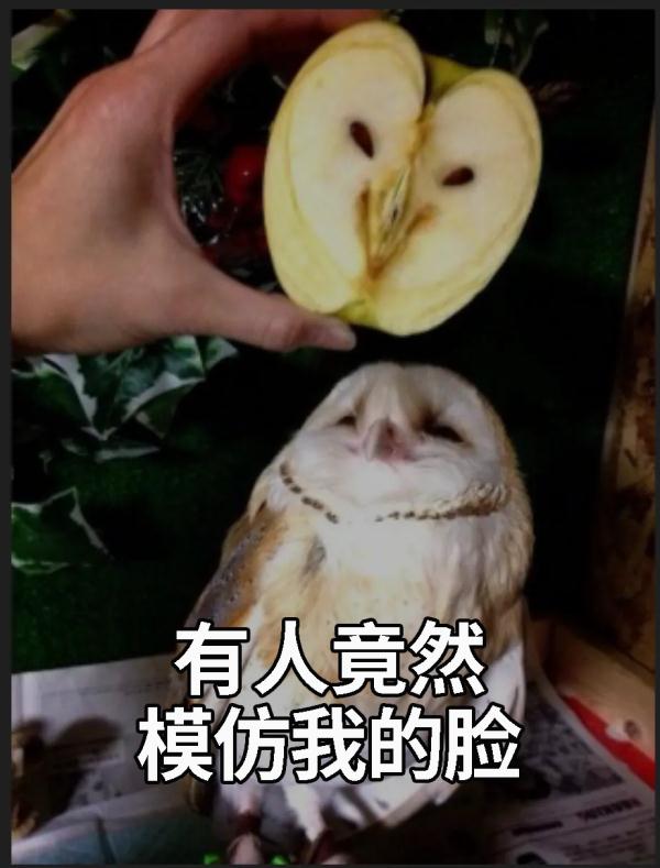 须须头、梗子、嫩头……上海话中的这些植物“器官”,你知道几个? 须须头、梗子、嫩头……上海话中的这些植物“器官”,你知道几个?