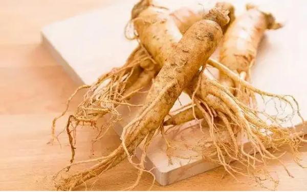 须须头、梗子、嫩头……上海话中的这些植物“器官”,你知道几个? 须须头、梗子、嫩头……上海话中的这些植物“器官”,你知道几个?