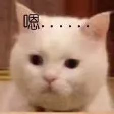 风雨雷电又来！沈阳又连发多条雷电黄色预警！为啥下雨总在下班时？