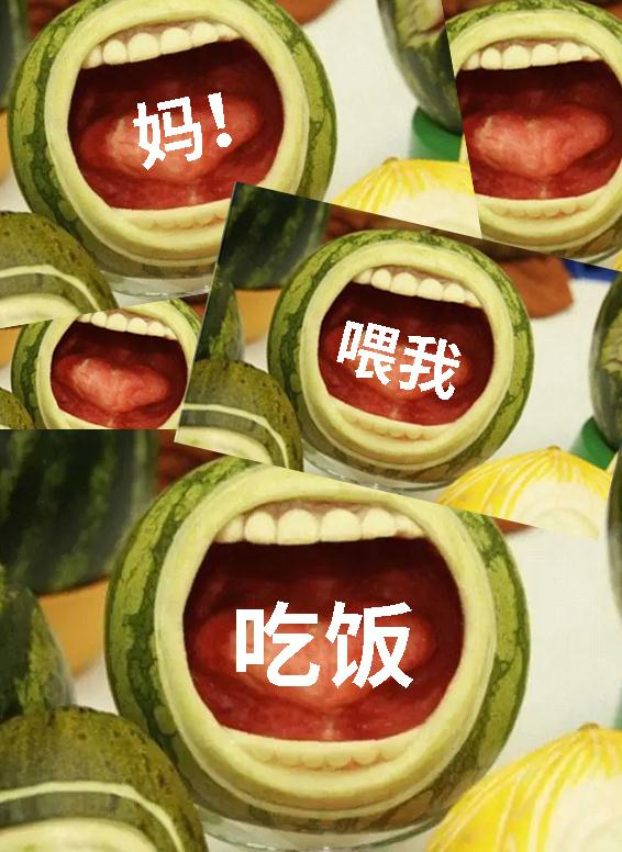 须须头、梗子、嫩头……上海话中的这些植物“器官”,你知道几个? 须须头、梗子、嫩头……上海话中的这些植物“器官”,你知道几个?