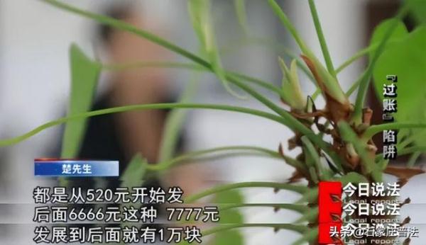 男子网恋半年收到女友转账40余万元,分手后却惹上一场案值90余万元的官司 男子网恋半年收到女友转账40余万元,分手后却惹上一场案值90余万元的官司