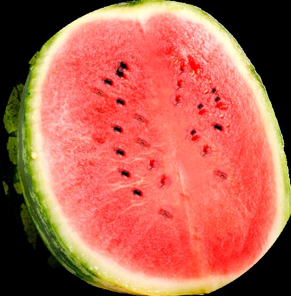 须须头、梗子、嫩头……上海话中的这些植物“器官”,你知道几个? 须须头、梗子、嫩头……上海话中的这些植物“器官”,你知道几个?