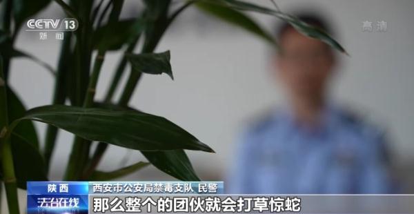 止痛药变身之谜！警方破获贩卖杜冷丁案 涉案金额两百余万