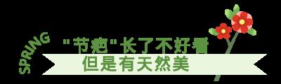须须头、梗子、嫩头……上海话中的这些植物“器官”,你知道几个? 须须头、梗子、嫩头……上海话中的这些植物“器官”,你知道几个?