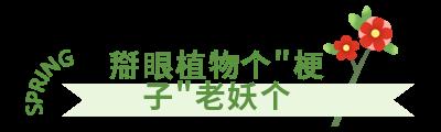 须须头、梗子、嫩头……上海话中的这些植物“器官”,你知道几个? 须须头、梗子、嫩头……上海话中的这些植物“器官”,你知道几个?