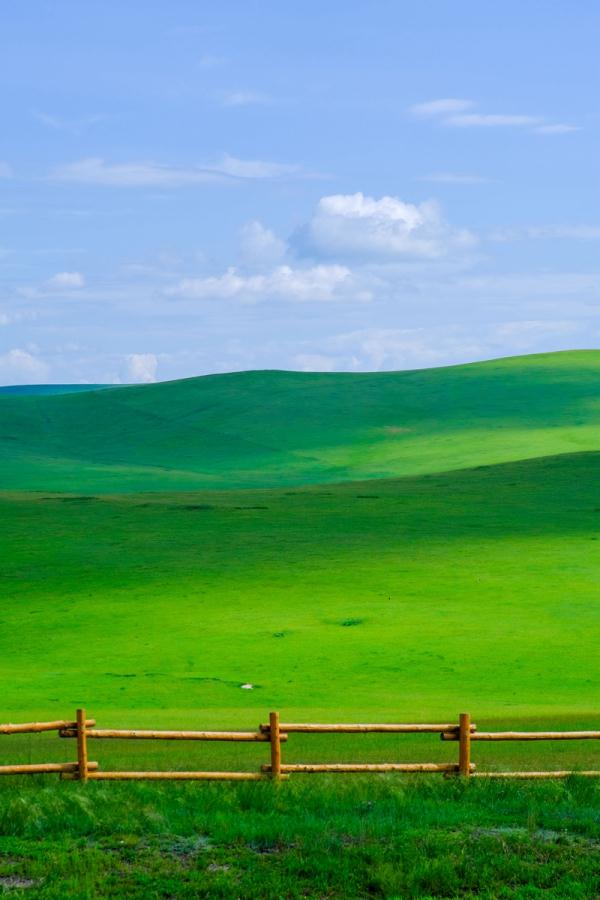 时下,内蒙古呼伦贝尔大草原进入一年中最美的时节
