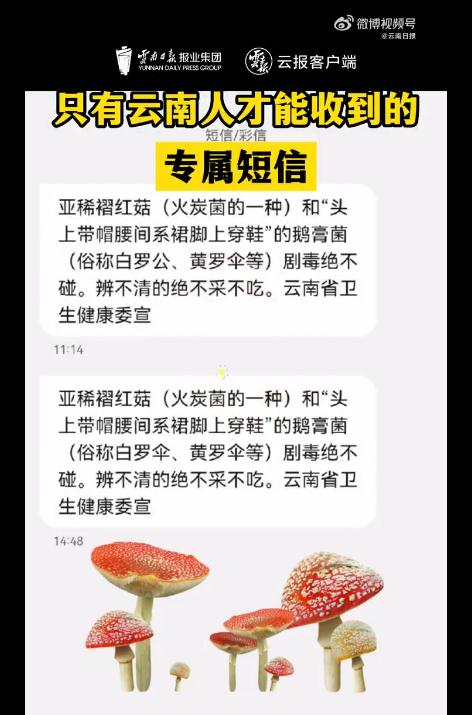 据说,这是只有云南人才能收到的短信…… 据说,这是只有云南人才能收到的短信……