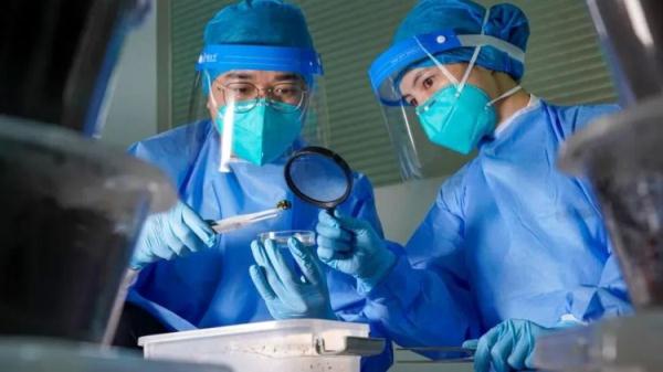 宠点啥不好?广州海关破获一起走私甲虫进境案 宠点啥不好?广州海关破获一起走私甲虫进境案