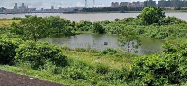 痛心！4名儿童死亡，3天连发4起溺亡事故