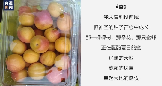 为榴莲写诗 水果店“野生诗人”老赵火了！