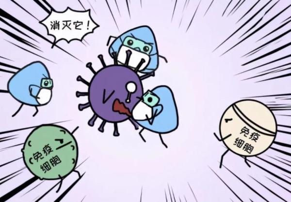 错过接种疫苗，HPV筛查阳性时，坐等转阴靠谱吗？