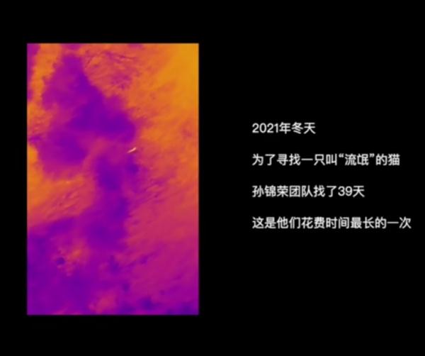 宠物侦探，“遇到的最高悬赏是一部保时捷”
