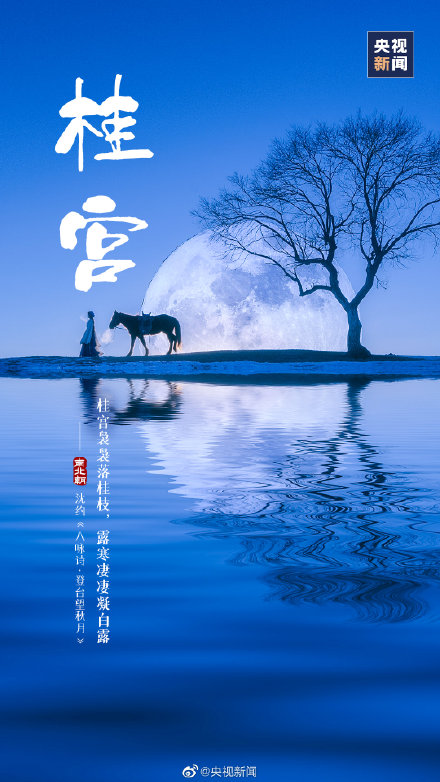 古人给月亮起的别称好浪漫