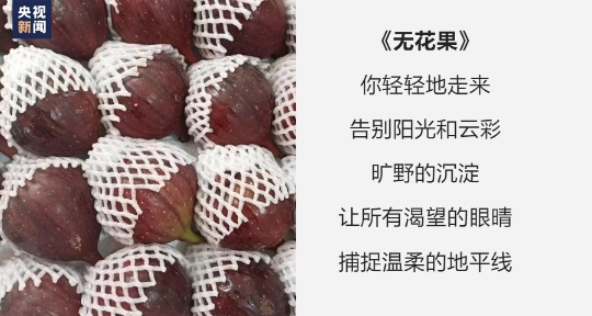 为榴莲写诗 水果店“野生诗人”老赵火了！